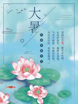 传统节气大暑海报