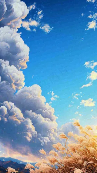 秋天蓝天户外芦苇草，立秋秋分摄影图