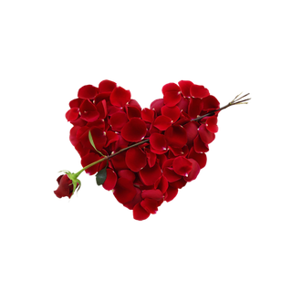 玫瑰花穿心情人节