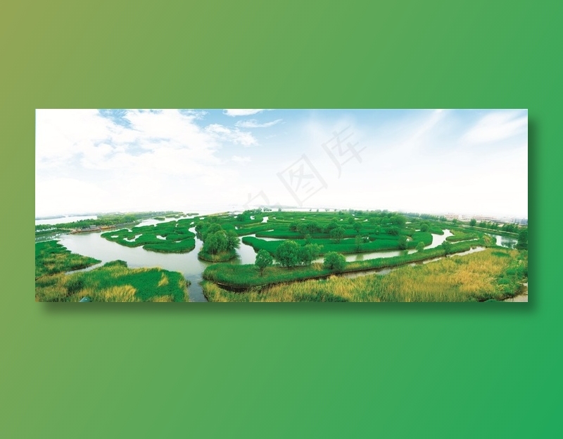 芦苇荡迷宫全景观