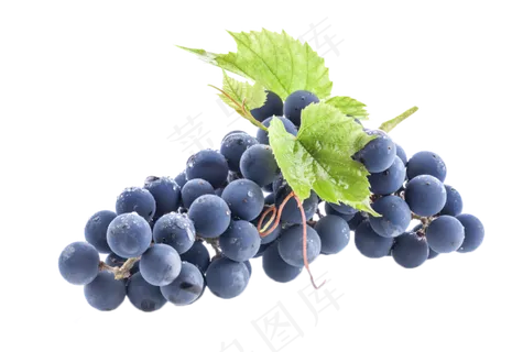 水果免扣png素材