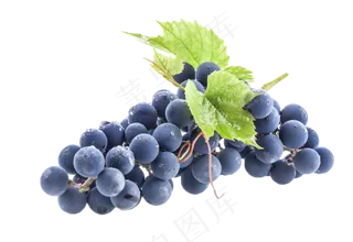 水果免扣png素材