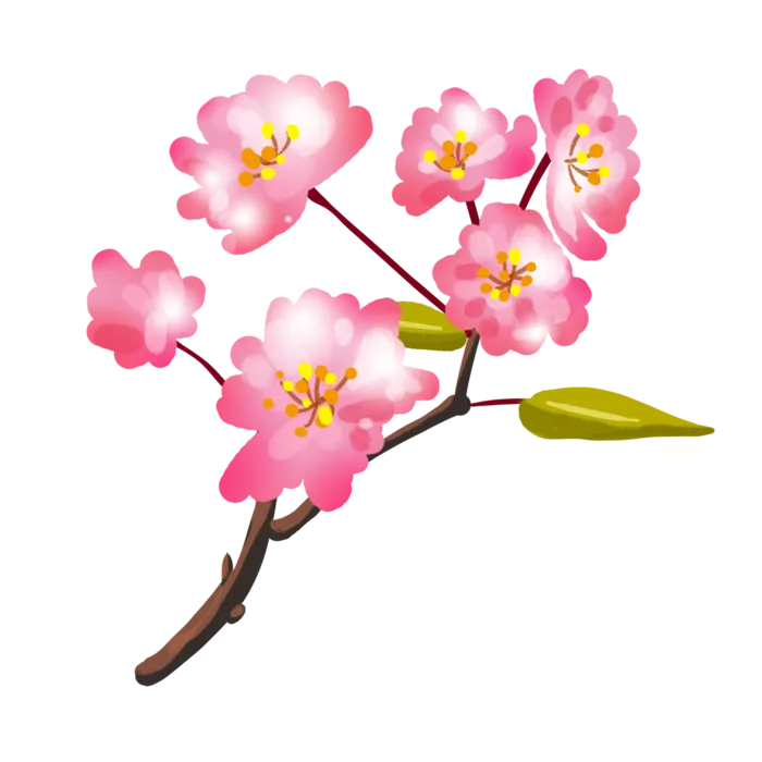 春天浪漫粉红色樱花手绘樱花梅花桃花花朵图片PNG免扣素材