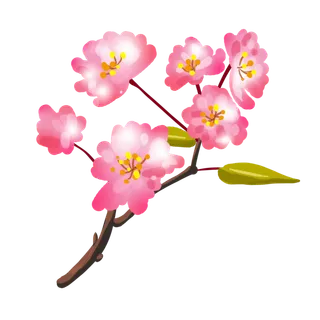 春天浪漫粉红色樱花手绘樱花梅花桃花花朵图片PNG免扣素材