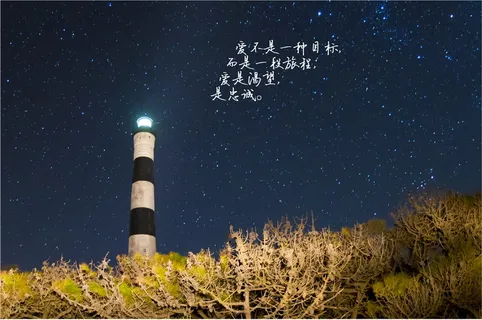 文字吧致爱情的短句 文字吧致爱情的短句