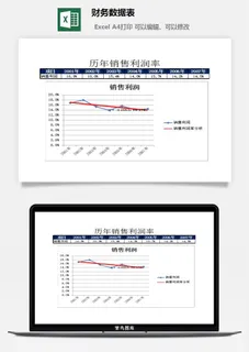 财务数据表excel模板