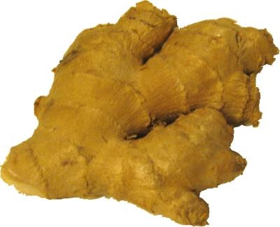 生姜 PNG免抠(400x325)