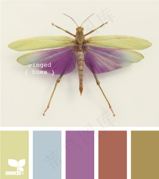 动物配色色卡色彩搭配