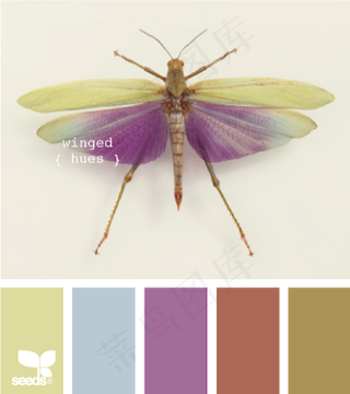 动物配色色卡色彩搭配