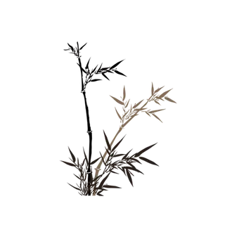 竹子水墨画中国风国画墨水书法竹子画