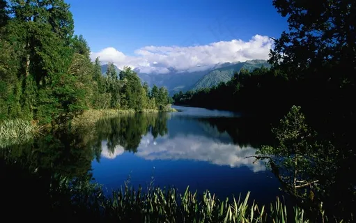 高清湖畔树林高清风景图片 高清湖畔树林高清风景图片