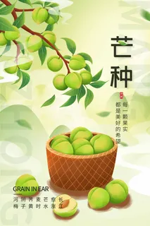 芒种 芒种海报设计