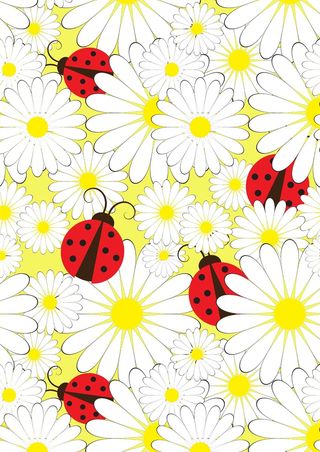 可爱昆虫七星瓢虫甲虫小菊花雏菊