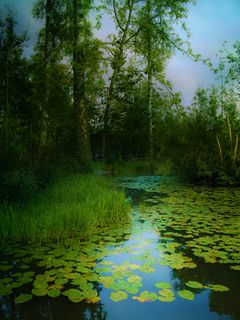 高清卡通风景图片下载