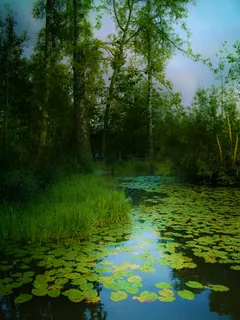 高清卡通风景图片下载 高清卡通风景图片下载