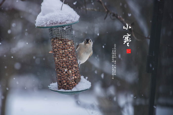 小寒节气图片