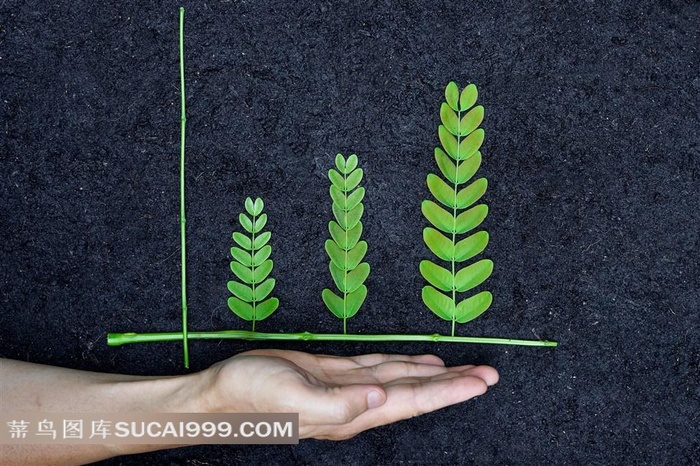 保护环境设计素材