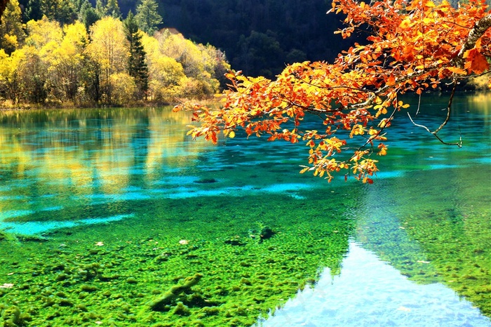 河边秋色风景图片