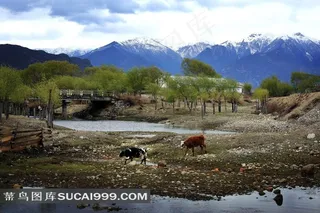 西藏林芝风景摄影图片
