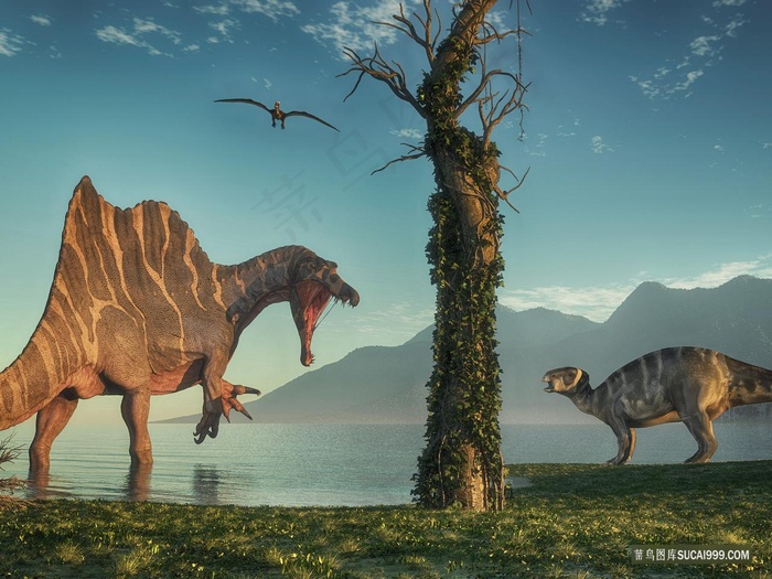 各种恐龙霸王龙高清高分辨率喷绘打印素材原图画