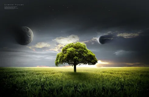 草地一棵树星空背景