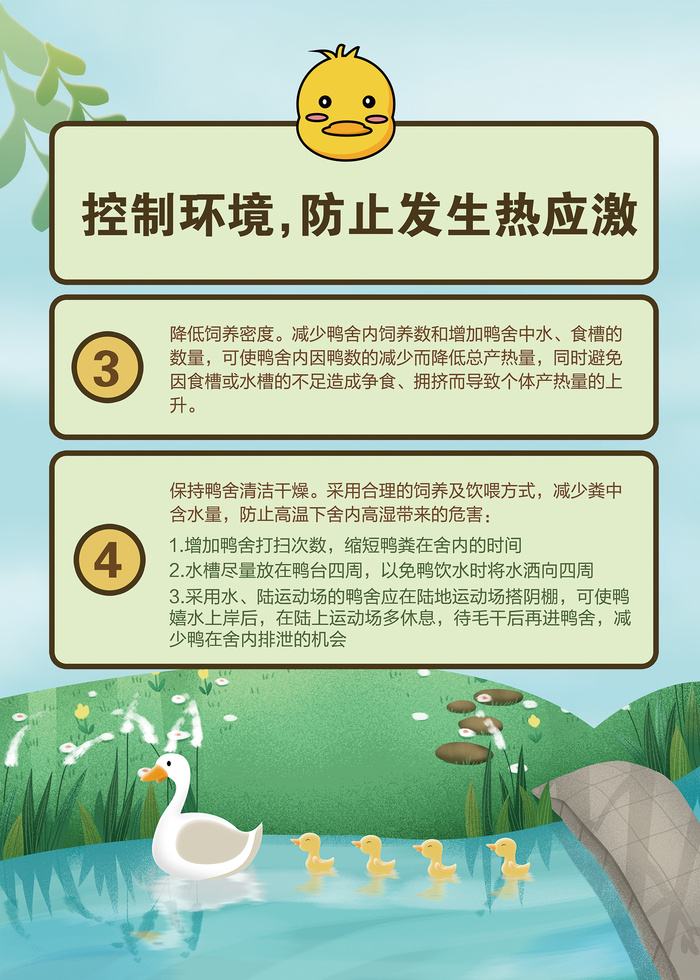 夏季肉鸭饲养管理技术psd模版下载