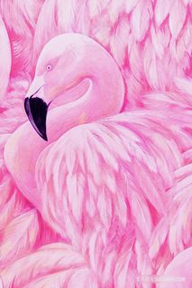 北欧火烈鸟装饰画