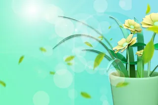 春天背景图兰花阳光绿色清新大尺寸高清