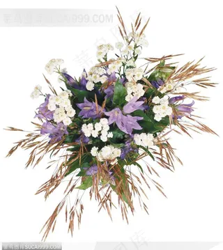 花艺花束-白色的小花花束