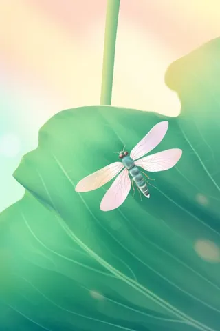 创新可爱粉色荷叶昆虫线条背景