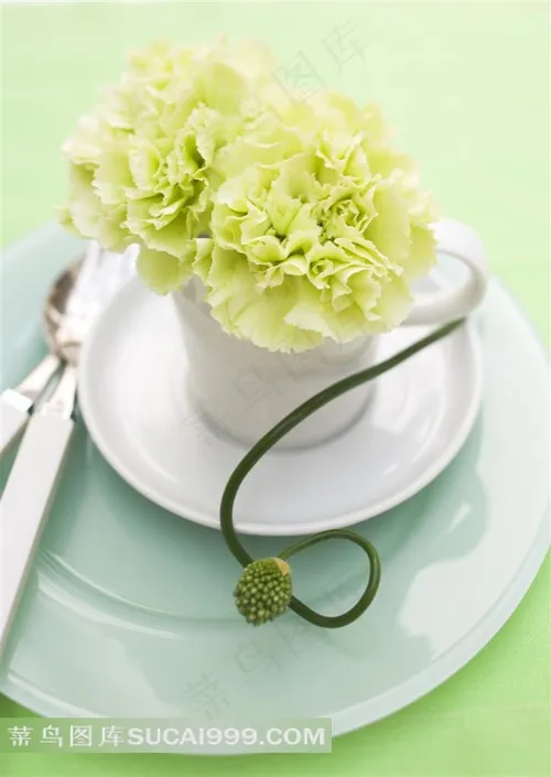 高清母亲节康乃馨图片大全