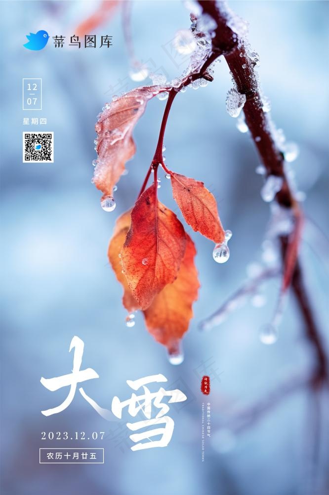 大雪简约冰冷枝叶节气海报(2362x3543)psd模版下载