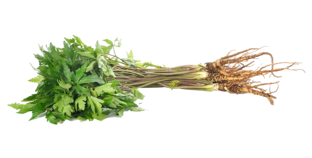 香菜 (6)超市商品白底图免抠实物摄影png格式图片透明底