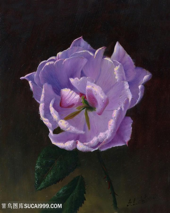 阿列克谢油画紫色花卉花束装饰画