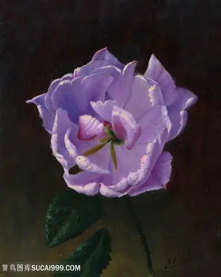 阿列克谢油画紫色花卉花束装饰画