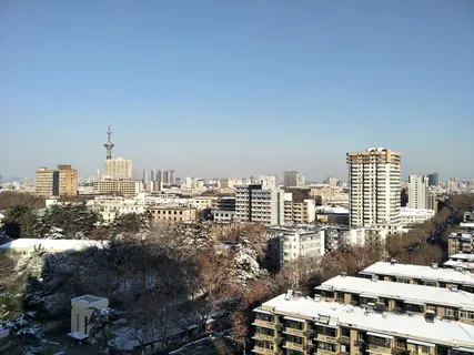 雪后的景色 雪后的景色