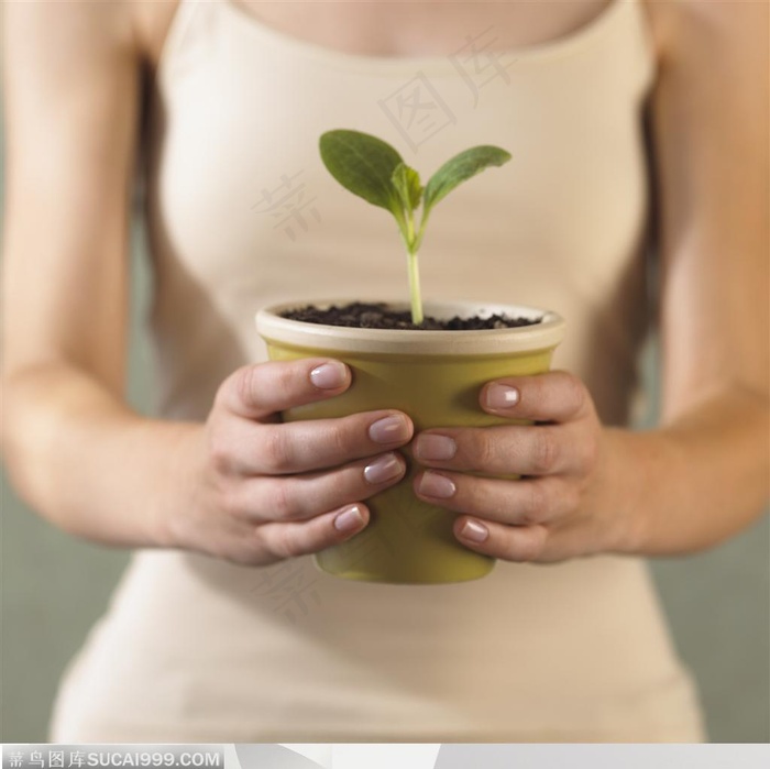 人物手势元素-手捧盆栽植物手势特写