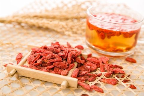 宁夏枸杞枸杞茶摄影