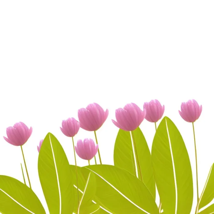 花绿叶免抠(2048x2048)