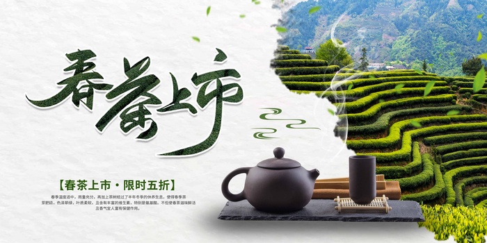 春茶上市 春茶促销海报psd模版下载