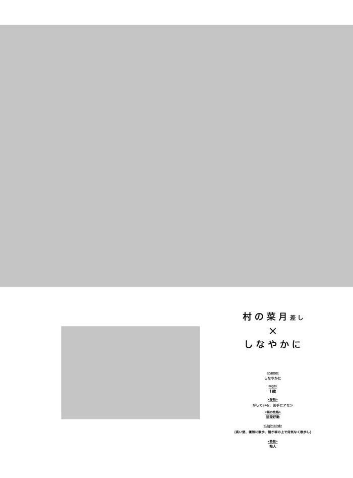 日系画册模板