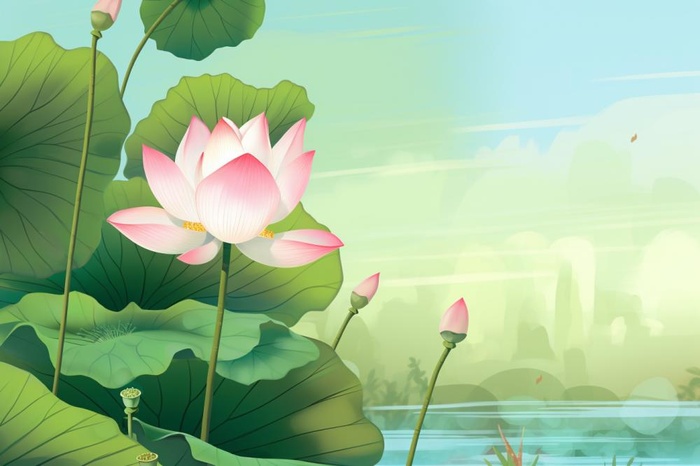 中国风清新绿色荷花荷叶背景