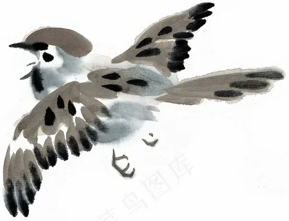 画鸟艺术绘画图片素材