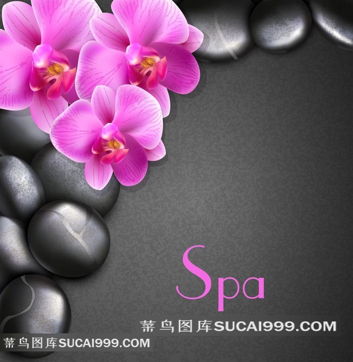 养生SPA水疗矢量素材