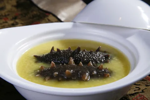 GY00084小米炖辽参2条 (1)