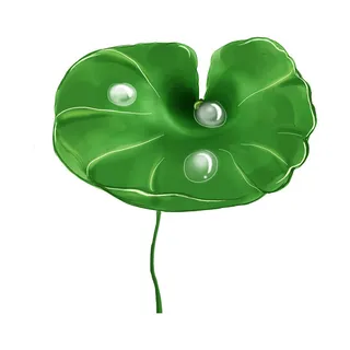 国潮中国风手绘荷花莲花荷叶莲藕植物花卉装饰插画PSD设计素材