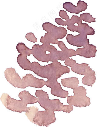 冬季圣诞节花卉果花圈植物免抠海报PNG素材