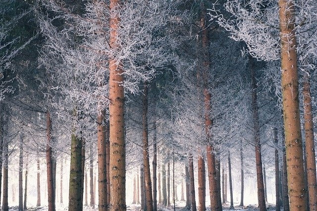 冬天白雪背景风景
