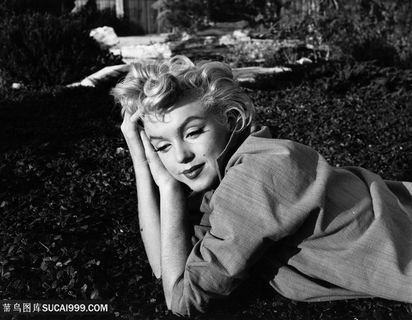 黑白草地美女玛丽莲梦露装饰画