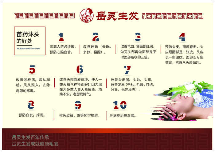 岳灵生发/苗药/冬病夏治/海报ai矢量模版下载
